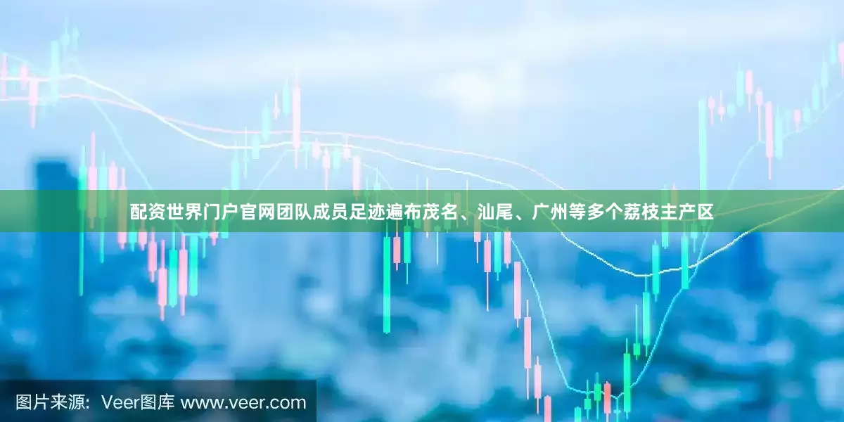 配资世界门户官网团队成员足迹遍布茂名、汕尾、广州等多个荔枝主产区