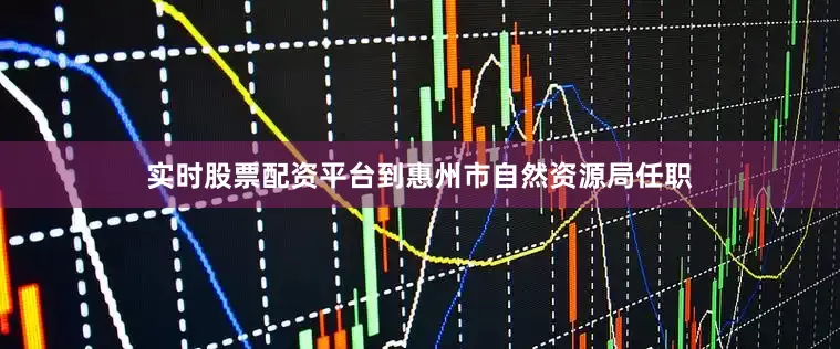 实时股票配资平台到惠州市自然资源局任职